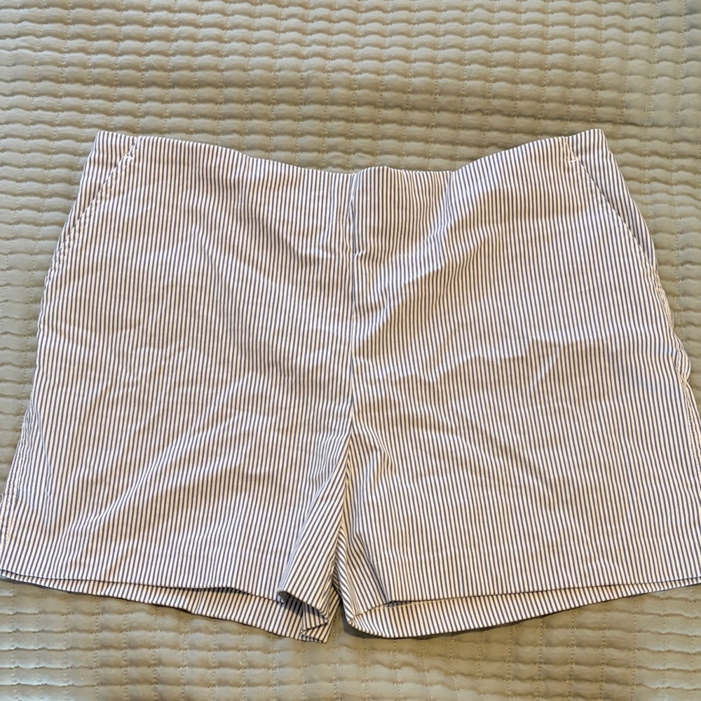 Carolina Belle Blue and White Striped Women's Shorts